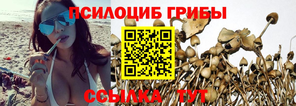 Новошахтинск  Галлюциногенные грибы мицелий  Вход с VPN 